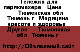 Тележка для парикмахера › Цена ­ 4 500 - Тюменская обл., Тюмень г. Медицина, красота и здоровье » Другое   . Тюменская обл.,Тюмень г.